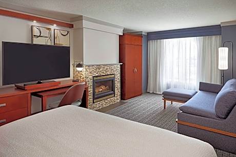 Studio, 1 King Bed with Sofa bed, Fireplace (1 King Bed and 1 Double Sofa Bed)