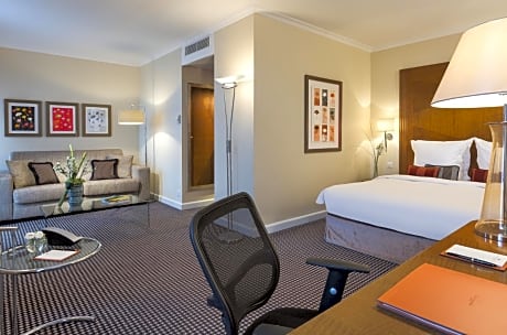 Penthouse Terrace Executive Room