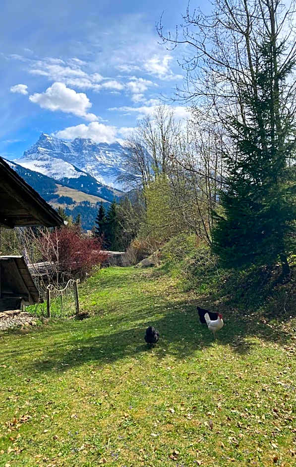 Chalet Ingas