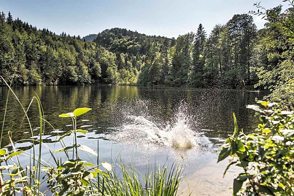 Unterwirt - Restaurant & Gasthof Ebbs