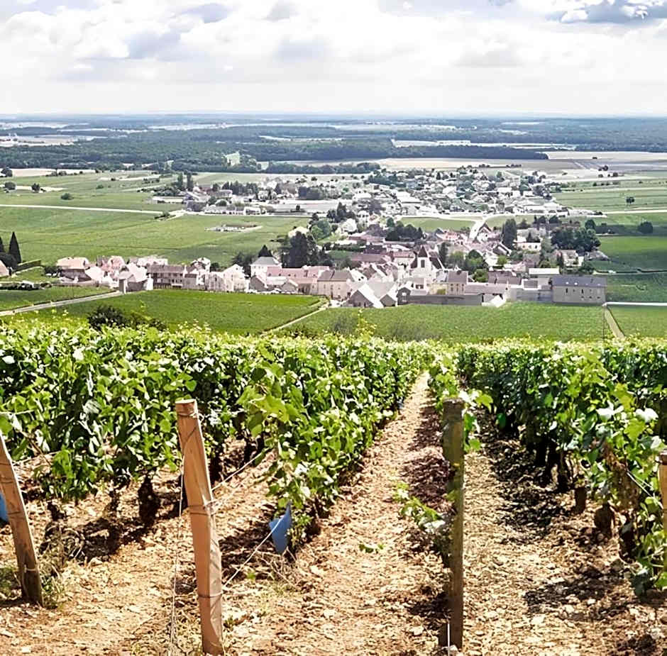 FASTHOTEL Reims Est - Taissy