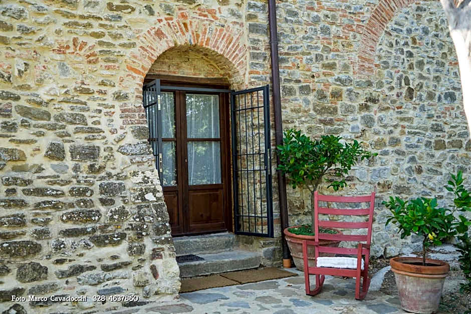 Il Bosso di Toscana