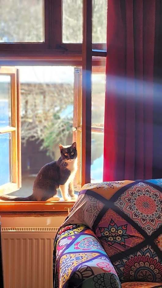 Little River Guest House