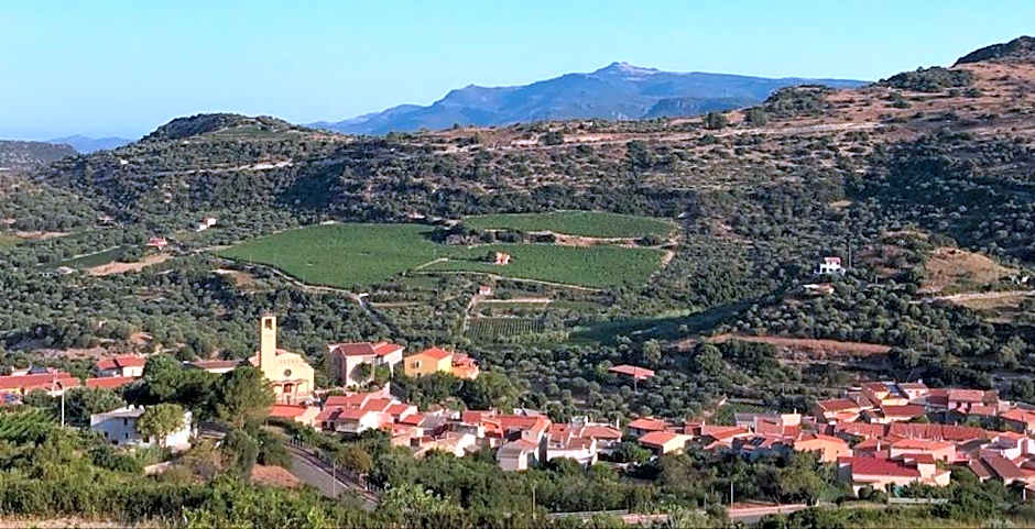 Il giardino degli aranci