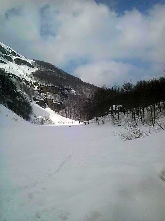 Appartamento il Bosco