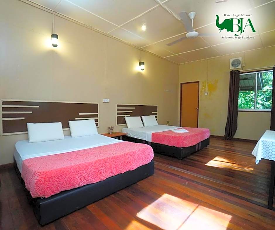 Borneo Jungle Adventure