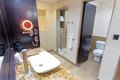 1 King Bed 1 Bedroom Presidential Suite