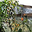 Banga-an BnB and Coffee House