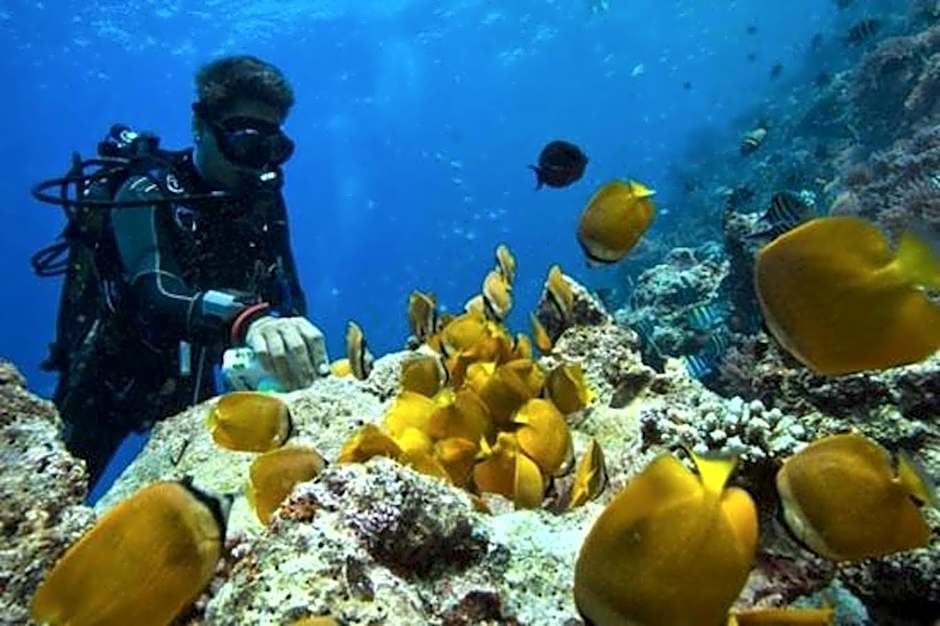 Paje Beach Apartments & Hotel