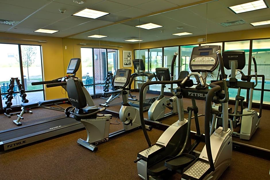 Holiday Inn Express Hotel & Suites Lansing-Dimondale