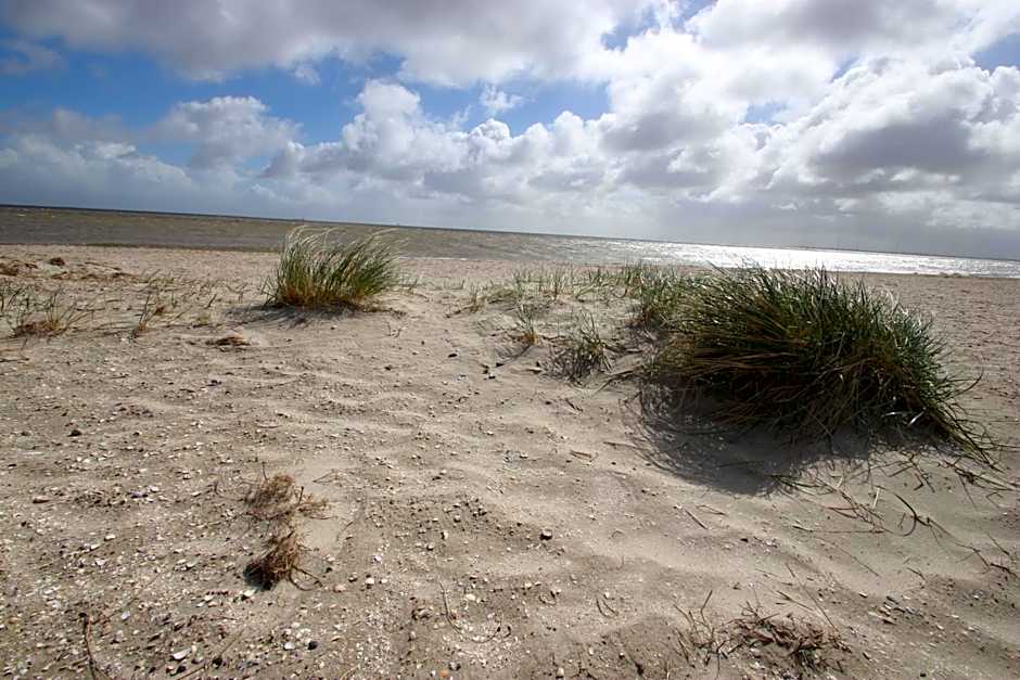 Landhotel Alte Schule - Hotel Garni