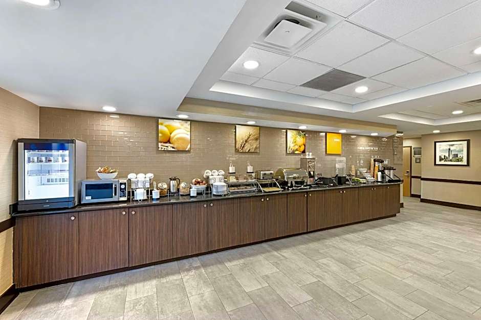 Comfort Inn & Suites Arlington Heights - Schaumburg