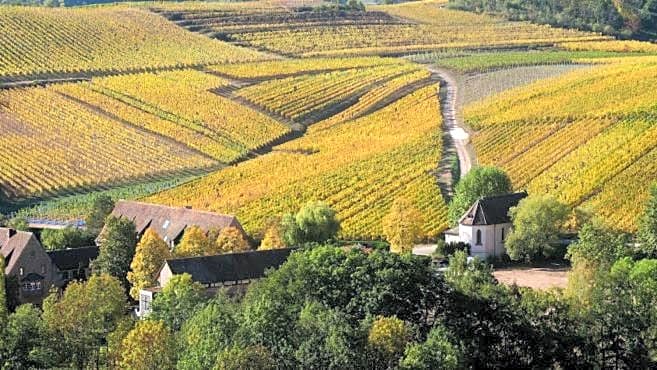 Chambre du Vigneron - Domaine Léon BLEESZ