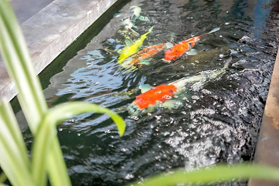 Memory Boutique Patong