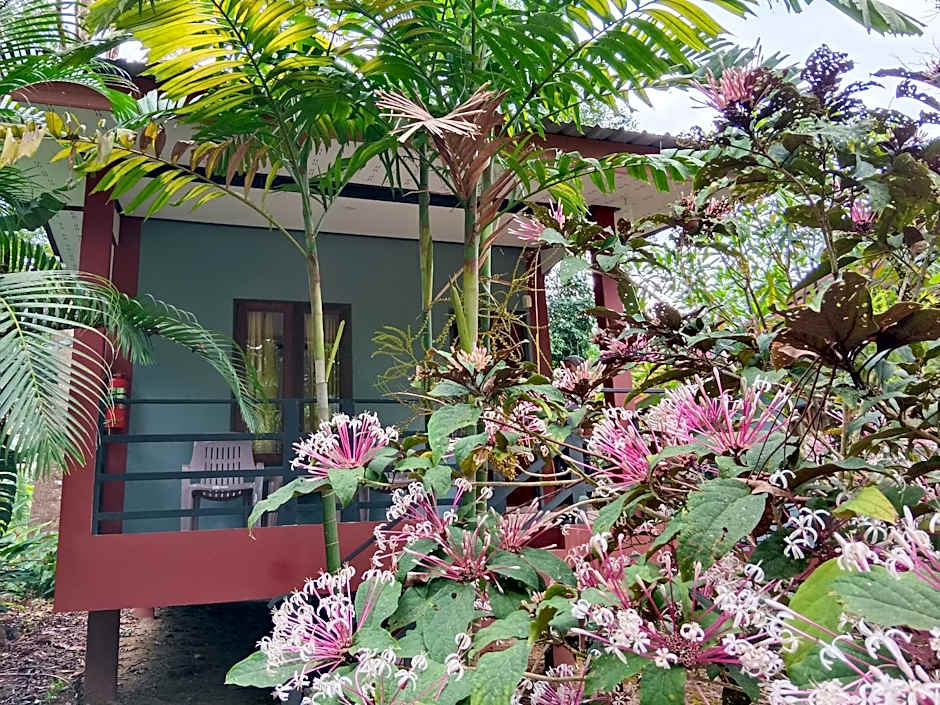 Khao Sok River & Jungle Bungalow