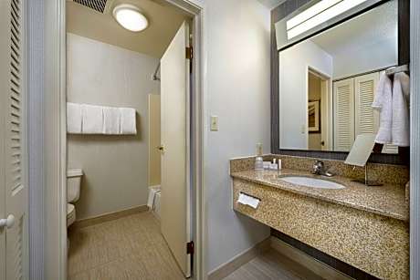 King Room with Sofa Bed