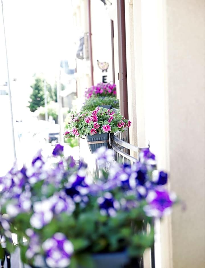 CENTRAL VIEW Craiova