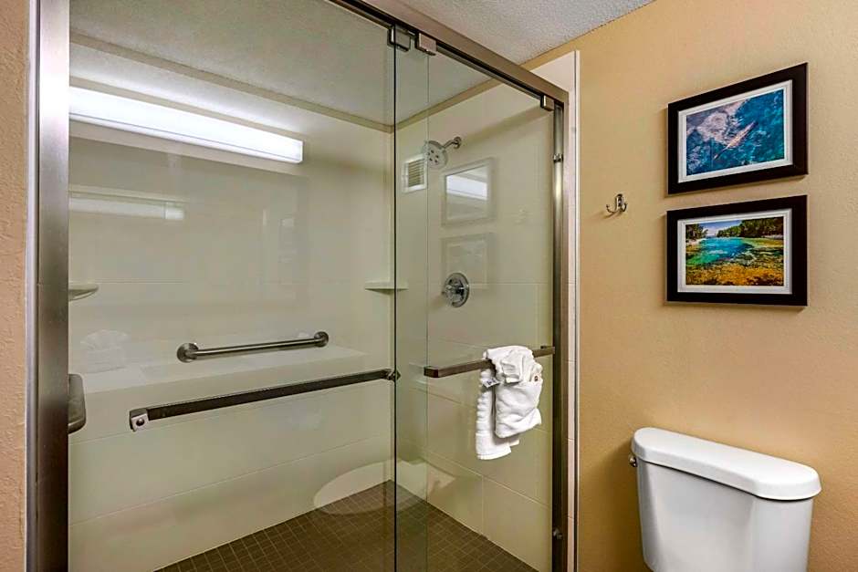 Comfort Inn Ocala Silver Springs