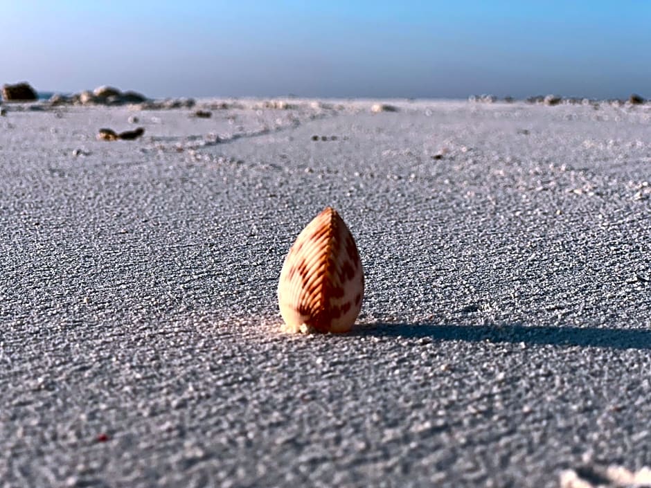 La Luna Boutique Dhangethi