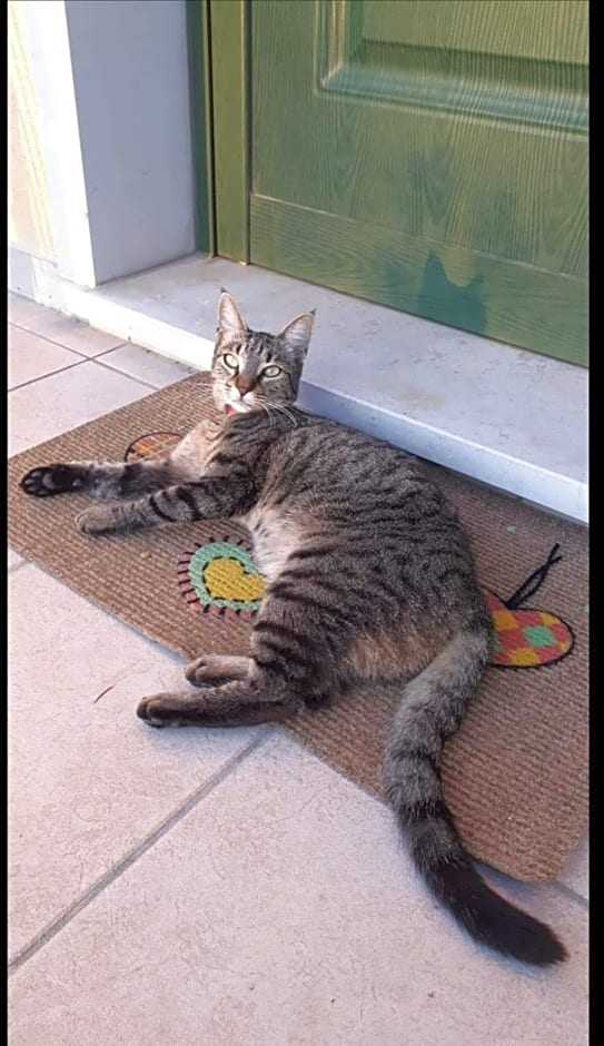 B&B A casa di Eleonora