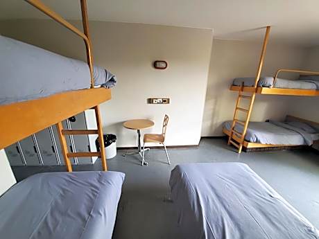 Bed in 5-Bed Male Dormitory with Ensuite Bathroom