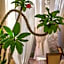 El Palacito Secreto Luxury Boutique Hotel & Spa
