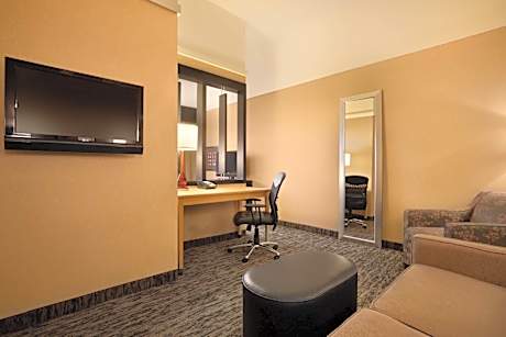 King Suite with Sofa Bed
