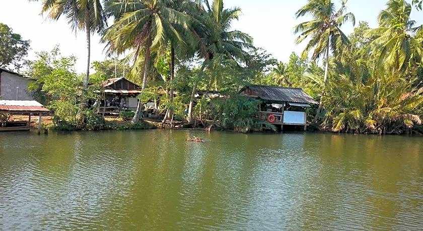 Artist's Place Trat