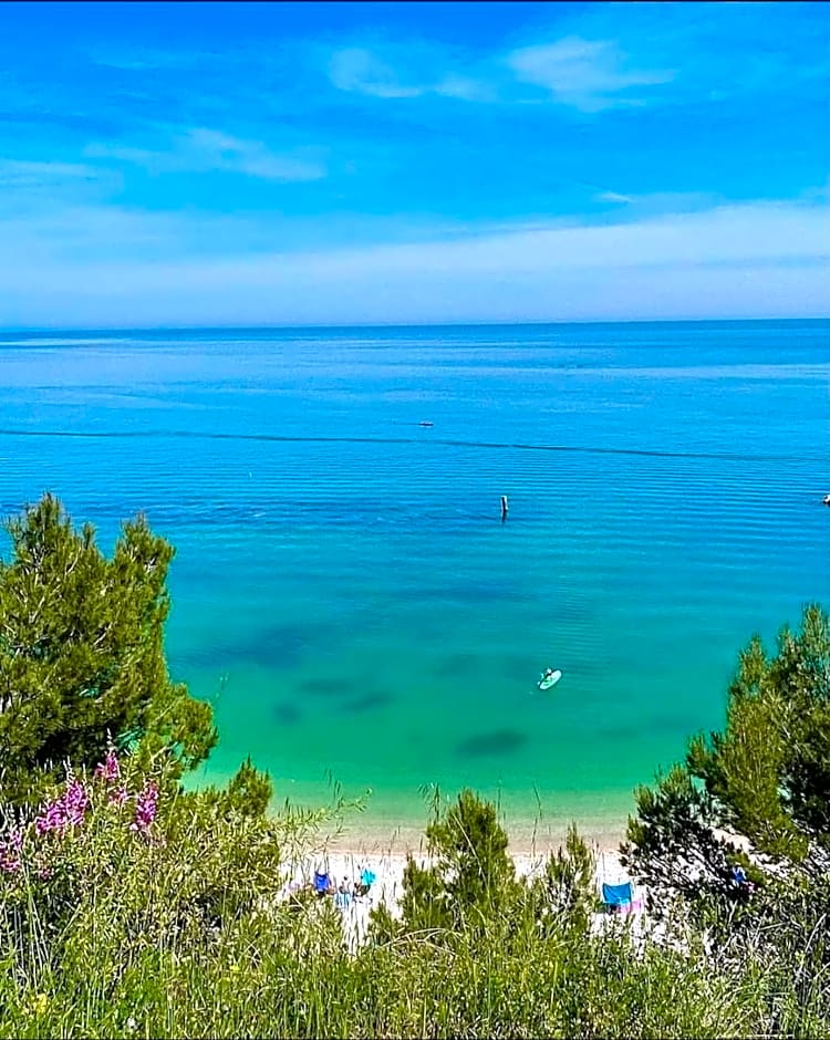 Affittacamere Villa Zelinda