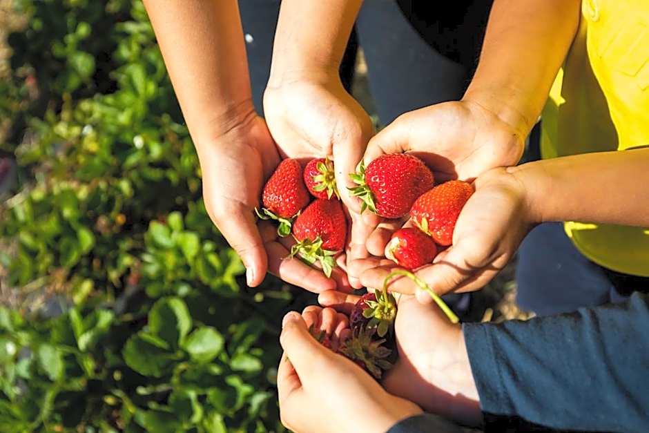 HibiscusUno Tropea Residence