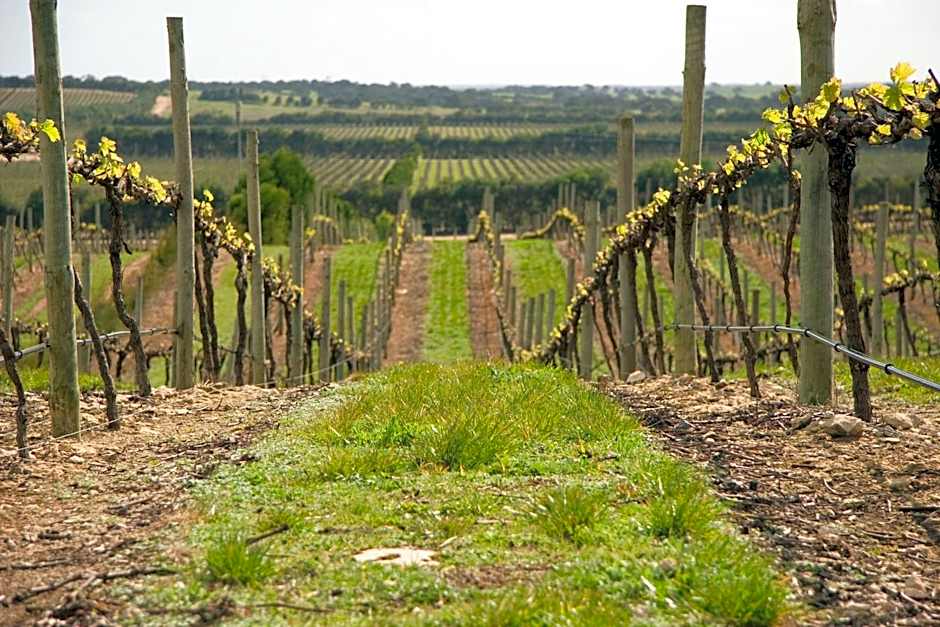 Lakeview Motel & Apartments