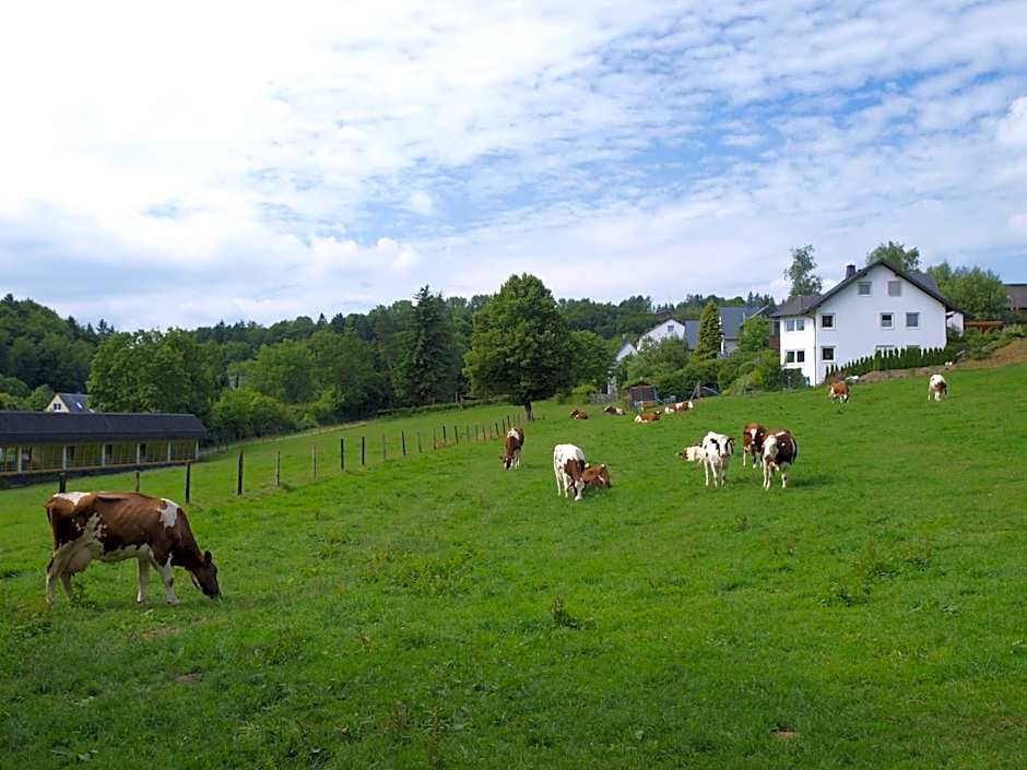 Landhotel Henkenhof Willingen