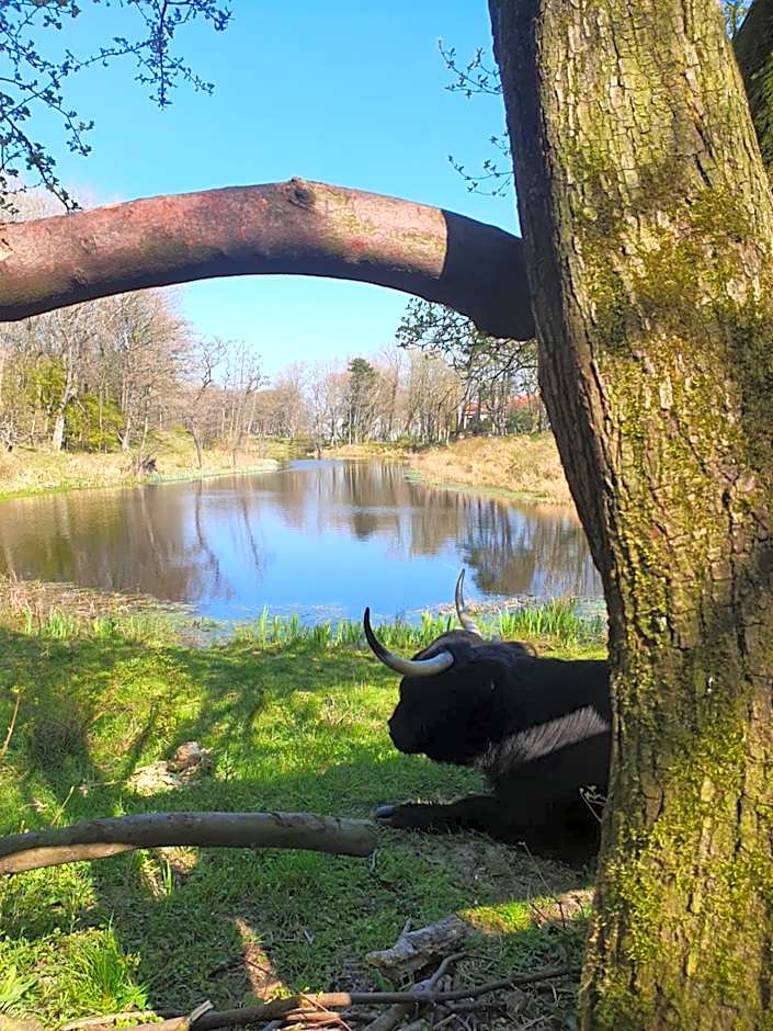 Scheveningen Sea Side