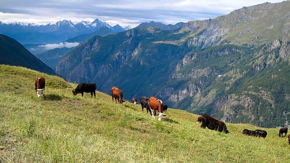Hotel Meublè Meridiana