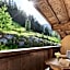 Berggasthaus Höllensteinhütte