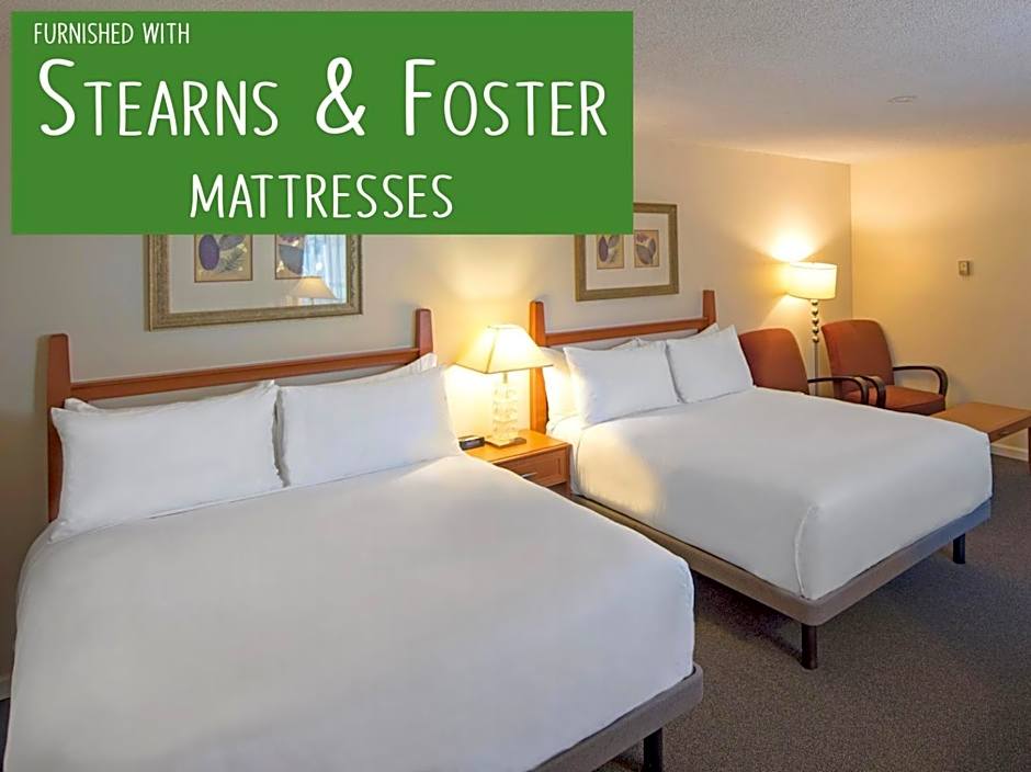 Robin Hood Inn and Suites