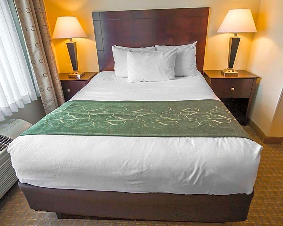 Comfort Suites University Area