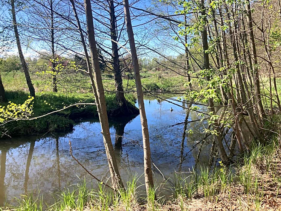 Radison Houses with a garden - Domki z ogródkiem Radison