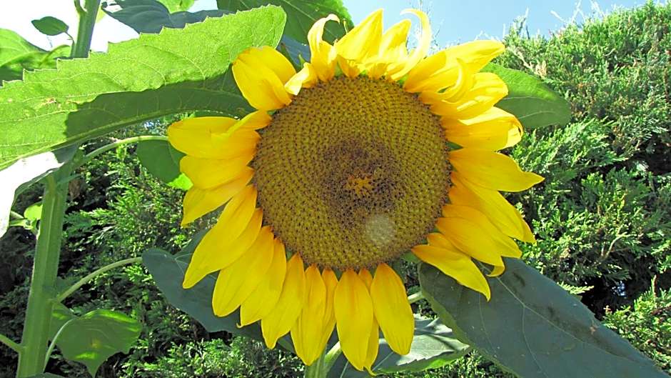 Palirria Hotel & Studios