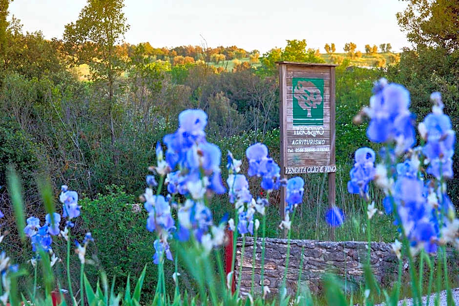 Agriturismo Tesorino