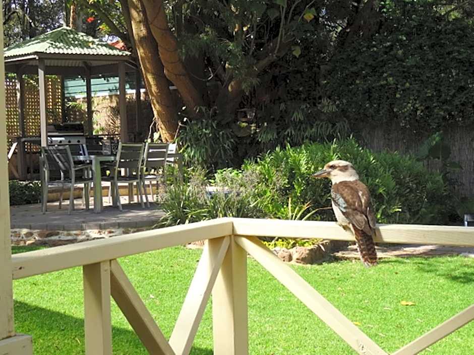 Edge Of The Forest Motel