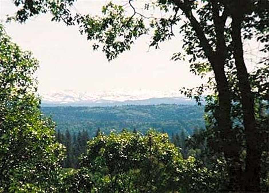Sierra Sun Cloud Inn - Colfax