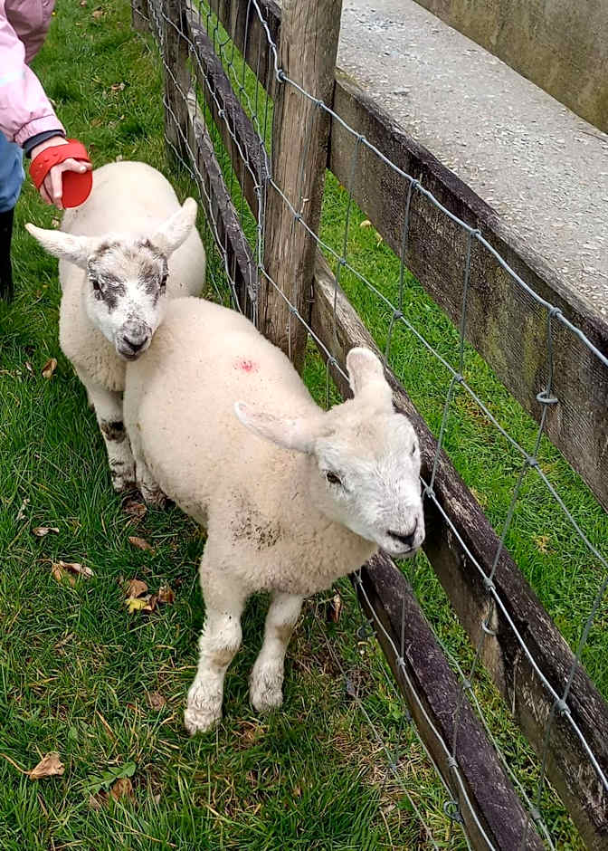 Sharlands Farm Bed and Breakfast