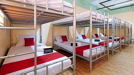 10-Bed Mixed Dormitory Room