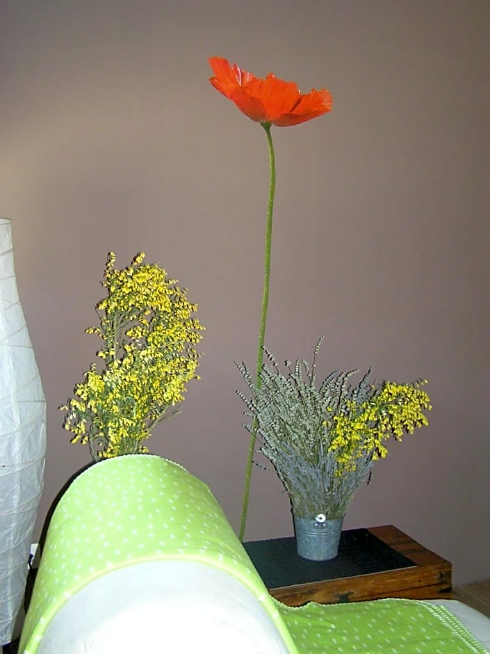 Hotel Rural Aqua Luna Spa