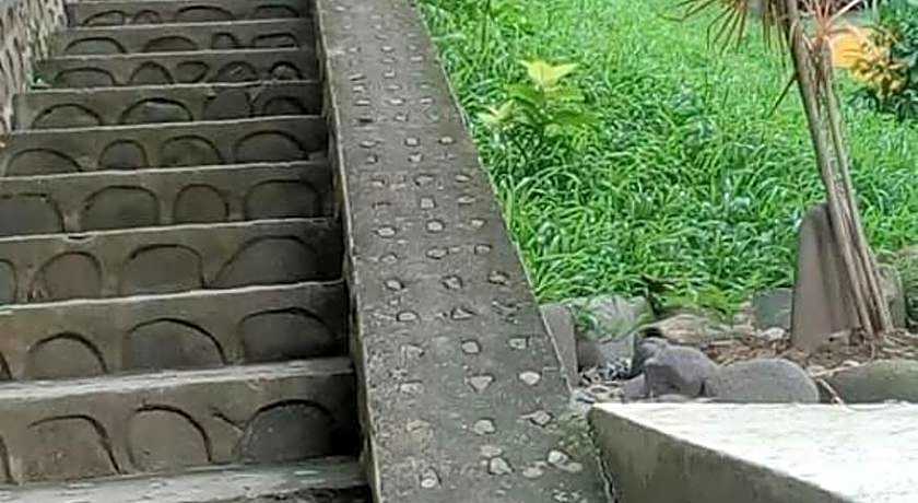 Meaco Royal Hotel Anilao