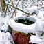 Kirishimaya Ryokan