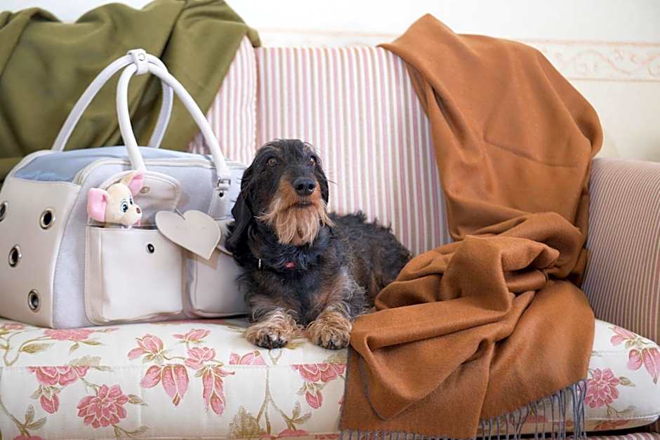 Grand Hotel Royal E Golf