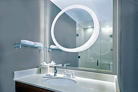 Room (1 King Bed and 1 Double Sofa Bed)