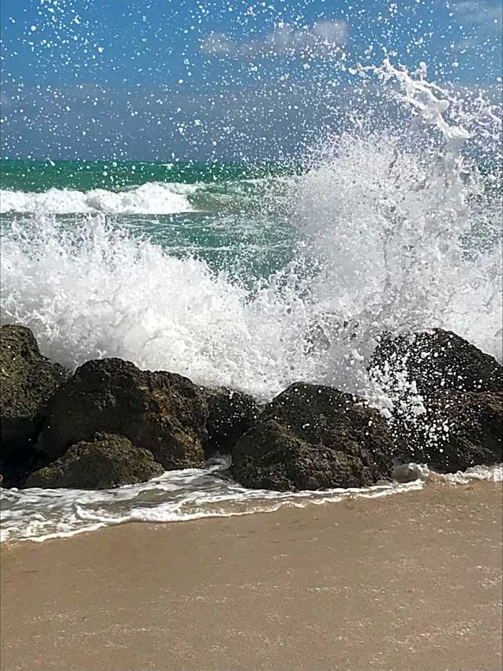 Gästehaus Windflüchter